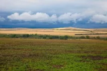 Природа, рослини та тварини Ростовської області природа