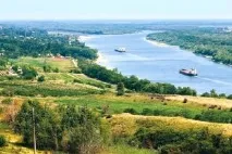 Природа, рослини та тварини Ростовської області рослини
