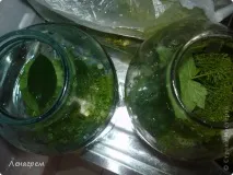 Настала пора заготовок солоні огірки, Країна Майстрів заготовок