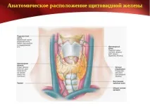 Психосоматика захворювань щитовидної залози, Академія чаклунства Ігоря Іванилова щитовидної