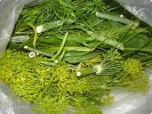 Настала пора заготовок солоні огірки, Країна Майстрів настала