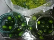 Настала пора заготовок солоні огірки, Країна Майстрів солоні