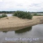 Річка Ока (з ляща