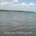 Річка Ока (з лову