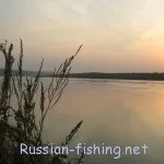 Річка Ока (з березі