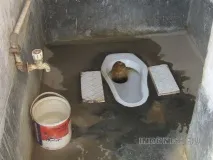 Індії