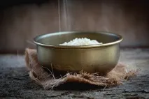 диария оризов