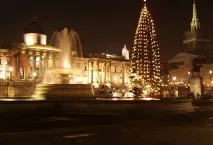 Нова година коледа