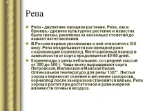 видео вицове ряпа