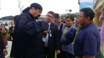 колко добре Какви жени