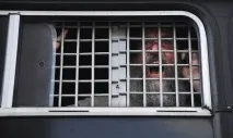 присъдата pussy