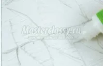 костенурка костенурка