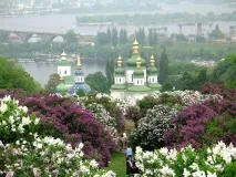 плочки всички