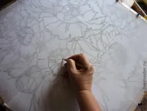 божури божури