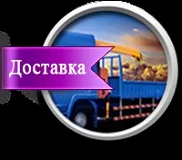 септични канализационни