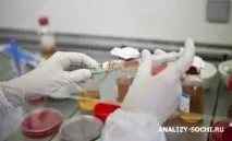 mycobacterium туберкулоза