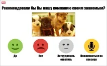 касата портокали