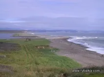 користувача