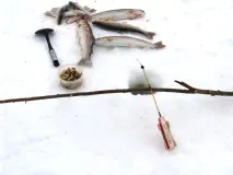 рибалка