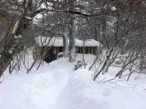 кунджа