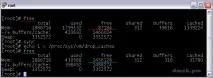 Скидання кешу в Linux linux