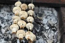 Шашлики з грибів та овочів грибів