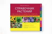 летни най-добрите