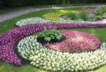 Створення багаторічної клумби схеми, вибір квітів, поради клумби