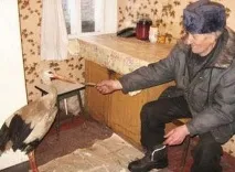 кученце спасявайки