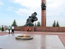 преглед преглед