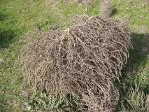 приготування