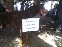 Юлия Началова Лента живо