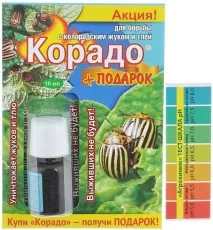 избор избор