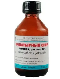 клопів