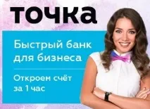 котките котките