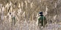 Тіло брестської вчительки, знайдене біля річки Мухавець, було покусане дикими тваринами біля