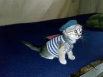 моряк моряк
