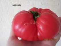 відгуки