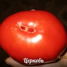 відгуки