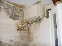 Збитки від затоки квартири, Персональний сайт юриста квартири