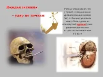 Структурата функцията върху бъбреците