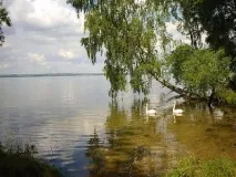 бази бази