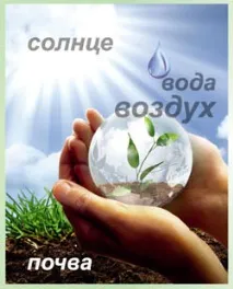 растения стайни