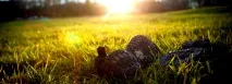 трекінгові