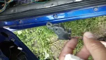монтаж алармена
