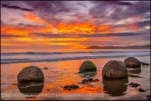 Валуни Моєракі (Moeraki Boulders), Перше знайомство з Новою Зеландією, Мої 100 доріг моєракі