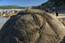 Валуни Моєракі (Moeraki Boulders) у Новій Зеландії моєракі