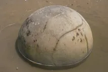 Валуни Моєракі (Moeraki Boulders) у Новій Зеландії зеландії