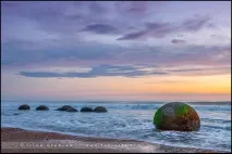 Валуни Моєракі (Moeraki Boulders), Перше знайомство з Новою Зеландією, Мої 100 доріг moeraki