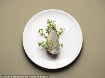 брюкселско брюкселско
